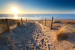 © Olha Rohulya - path to sand beach in North sea