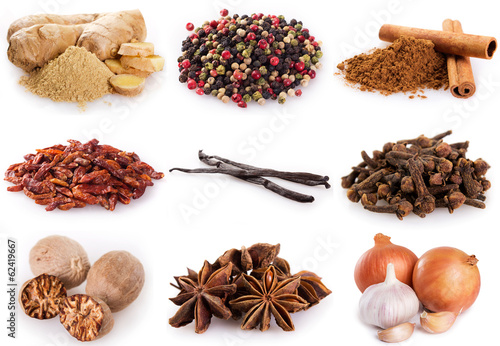 Naklejka ścienna Collection of spices