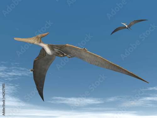 Fotoboard na płycie Pteranodon dinozaury latające - 3d render