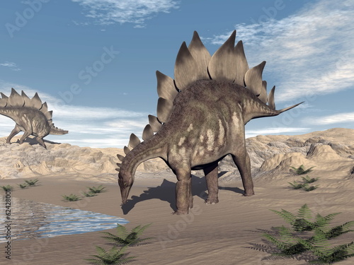 Fototapeta na wymiar Stegosaurus near water - 3D render