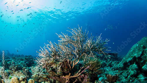 Board z aluminiowym obramowaniem Similan3