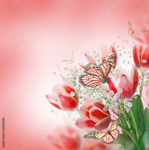 Tapeta ścienna Czerwone tulipany z zieloną trawą i motyl.