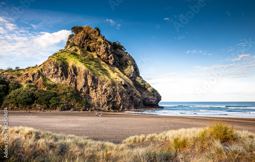 Board z aluminiowym obramowaniem Lew rock (piha beach, nowa zelandia)