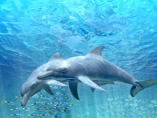 Wall Mural - HI res Dolphins under water