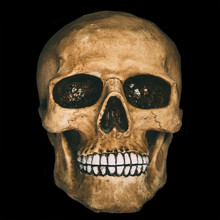 Front View Of Human Skull Over Black Background