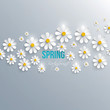 Abstract spring background with paper flowers. Vector