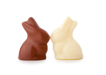 Two chocolate bunnies touching noses, on a white background