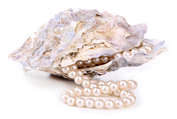 Wall Mural - Shell with pearls, isolated on white