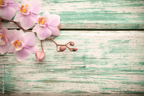 Plakat na papierze fotorealistycznym Orchidea.