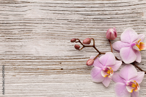 Naklejka nad blat kuchenny Orchid.