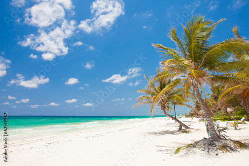 Board z aluminiowym obramowaniem Tropikalna plaża z palmami i łódką w Tulum w Meksyku