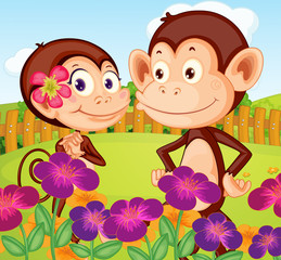 Wall Mural - Two monkeys at the garden in the hilltop