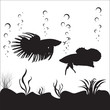 Vector image of betta fishes and an underwater environment.