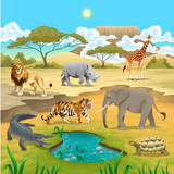 African animals in the nature.