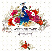 Floral Vintage Card With Peacock