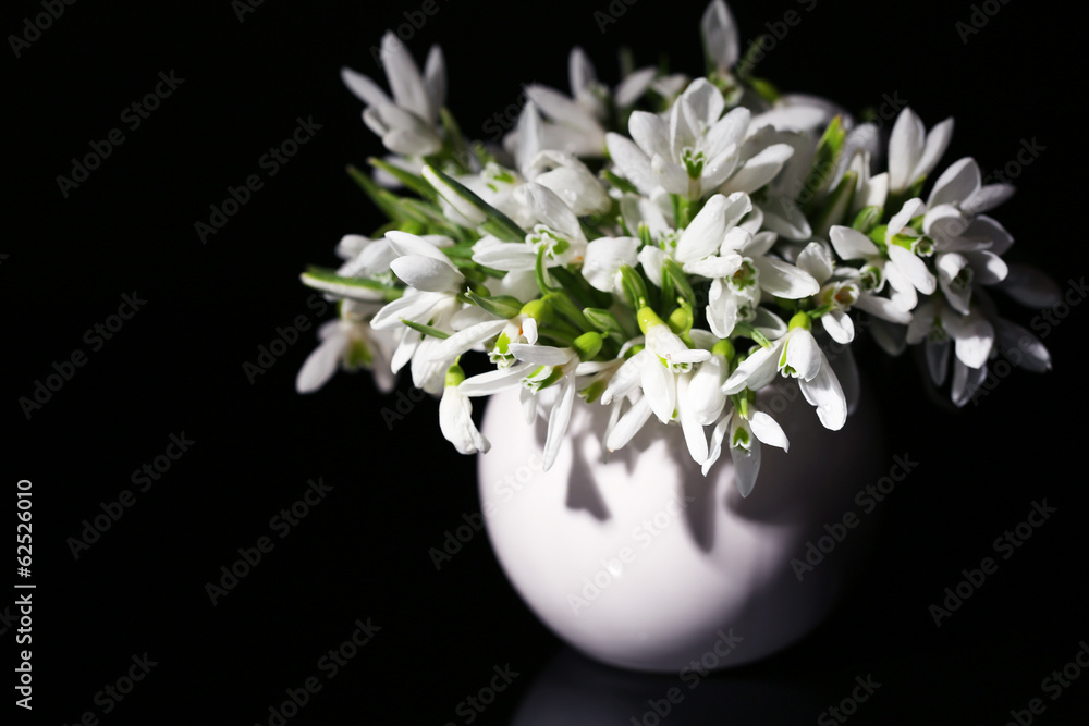 Beautiful snowdrops in vase, isolated on black