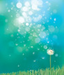 Vector of spring background with white dandelion.
