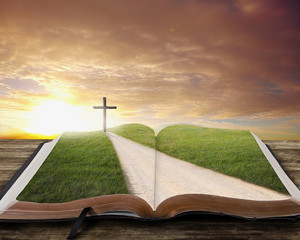 Fototapete - Open Bible with road.