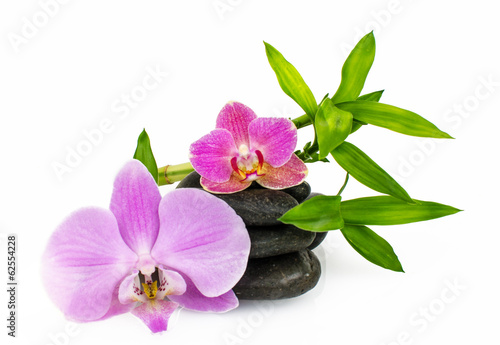 Foto-Tapete - Orchids, stones and bamboo :) (von doris oberfrank-list)