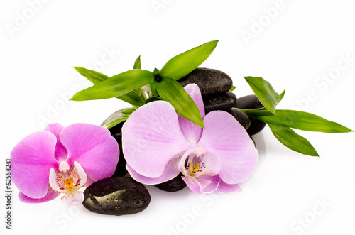 Fototapeta do kuchni Orchids, stones and bamboo :)