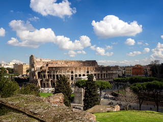 Wall Mural - Colosseum in Rome, Italy