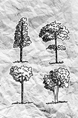 Poster - Set of trees with leaves on crumpled paper