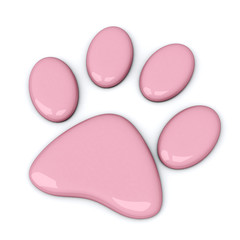 Pink paw, 3d