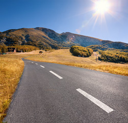 Canvas Print - Driving on an empty highway at beautiful sunny day