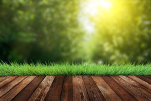 Summer Garden Background