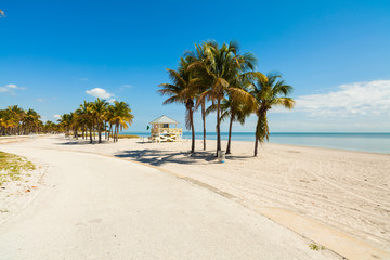 Wall Mural - Crandon Park Beach