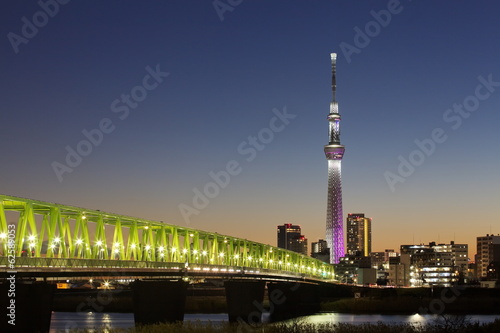 Naklejka - mata magnetyczna na lodówkę View of Tokyo skyline from Sumida river