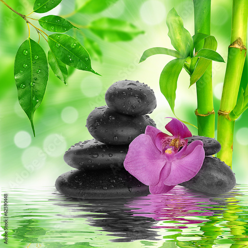 Plakat na zamówienie Kamienie ZEN z różowym storczykiem w wodzie na tle bambusa