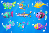 Fototapeta Dinusie - Nine colorful fishes under the sea