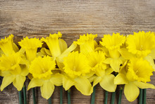 Beautiful Yellow Daffodils On Brown Wooden Board. Copy Space