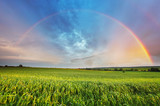 Fototapeta Tęcza - Rainbow over spring field
