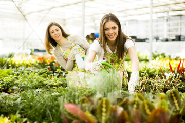 Young women in flower garden