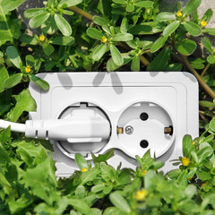 Power outlet in green grass