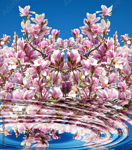 Board z aluminiowym obramowaniem Fale wody magnolii
