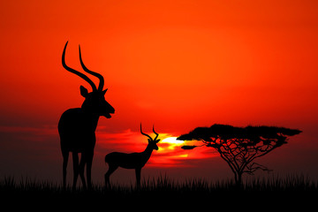 Sticker - Impala at sunset