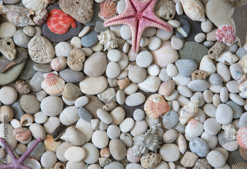 Naklejka na szybę Beautiful exotic shell and stones