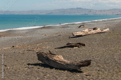 Board z aluminiowym obramowaniem Driftwood na plaży w zachmurzonej zatoce - Nowa Zelandia