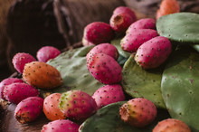 Prickly Pears Of Sardinia