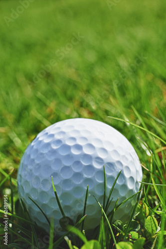 Obraz na płótnie canvas dwuczęściowy "dyptyk" Piłka golfowa