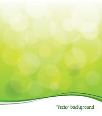 Abstract green vector background