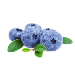 Canvas Print - Fresh Blueberries