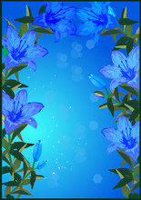 Frame With Blue Lily Flowers