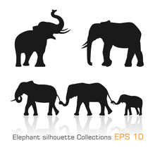 Set Of Silhouette Elephants In Different Poses