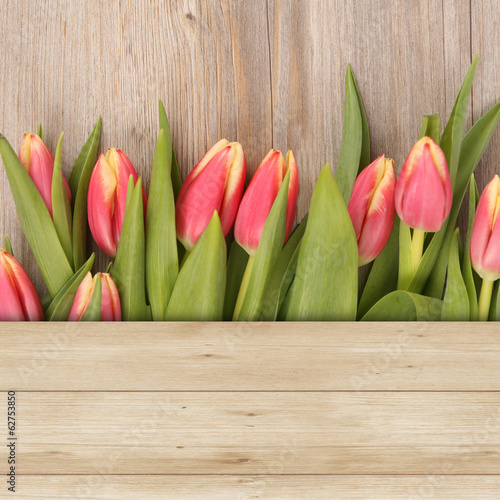 Naklejka na szybę Tulpen auf Holz