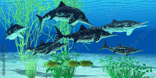 Fotoboard na płycie Stenopterygius icthyosaur