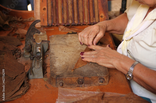 Cuadros en Lienzo Woman rolling cigars